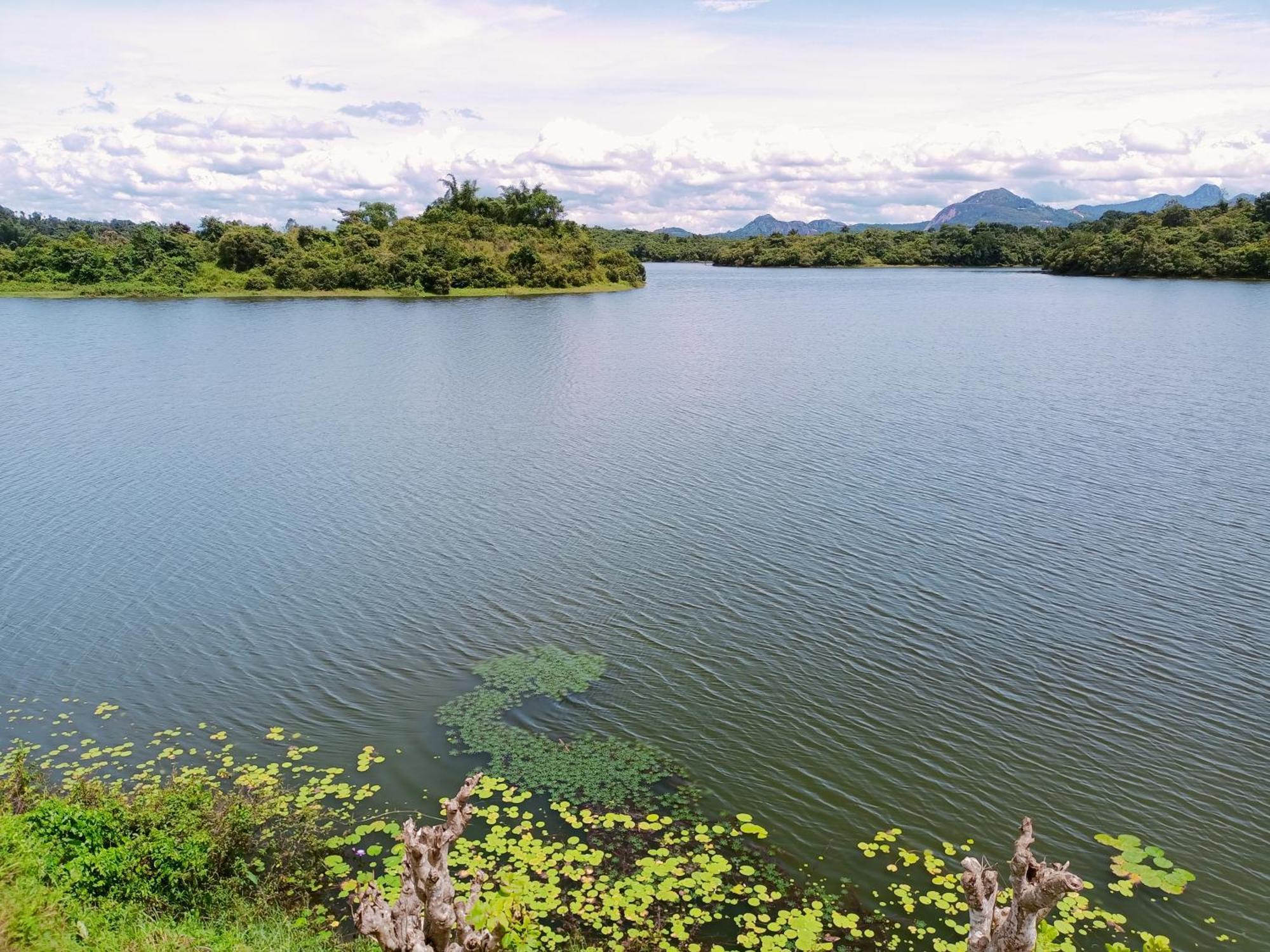 Casa Lake View Resort Wayanad Meppādi エクステリア 写真